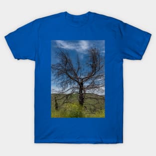 Tree burned by Malibu wildfires T-Shirt